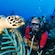 A scuba diver observes a sea turtle swimming over a coral reef